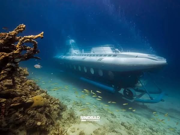 لحظة غرق الغواصة السياحية بالغردقة، فيتو