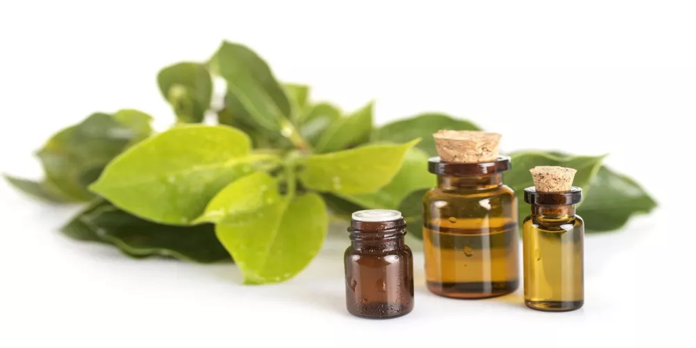 فوائد زيت الكافور