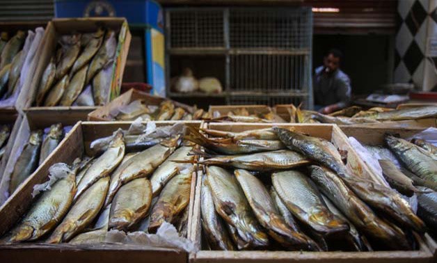 سعر كيلو الفسيخ في عيد الفطر