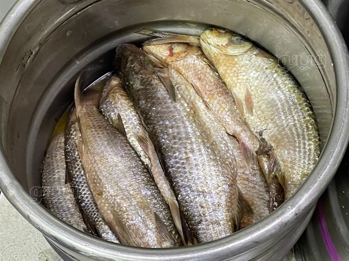 سعر كيلو الفسيخ في عيد الفطر