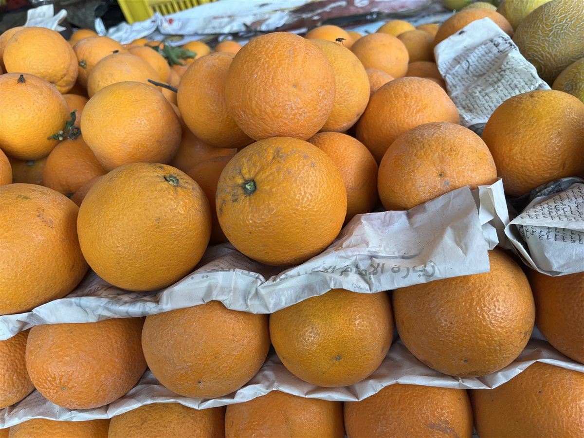 اسعار الفاكهة بمحافظة البحيرة، فيتو