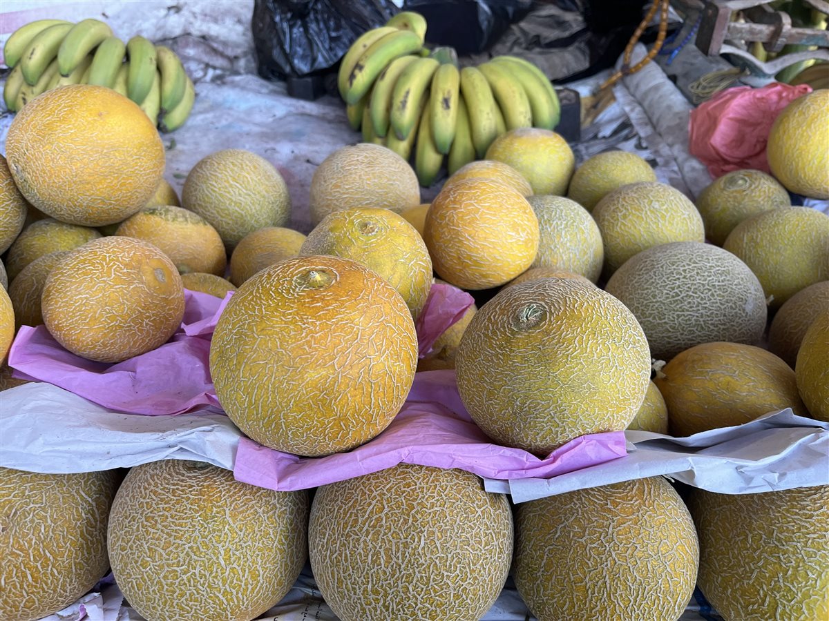 اسعار الفاكهة بمحافظة البحيرة، فيتو