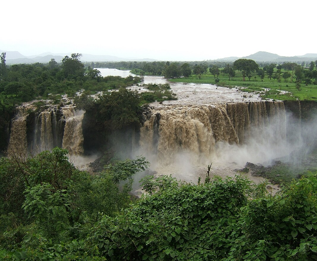 جزر طينية في مجري النيل الأزرق، فيتو