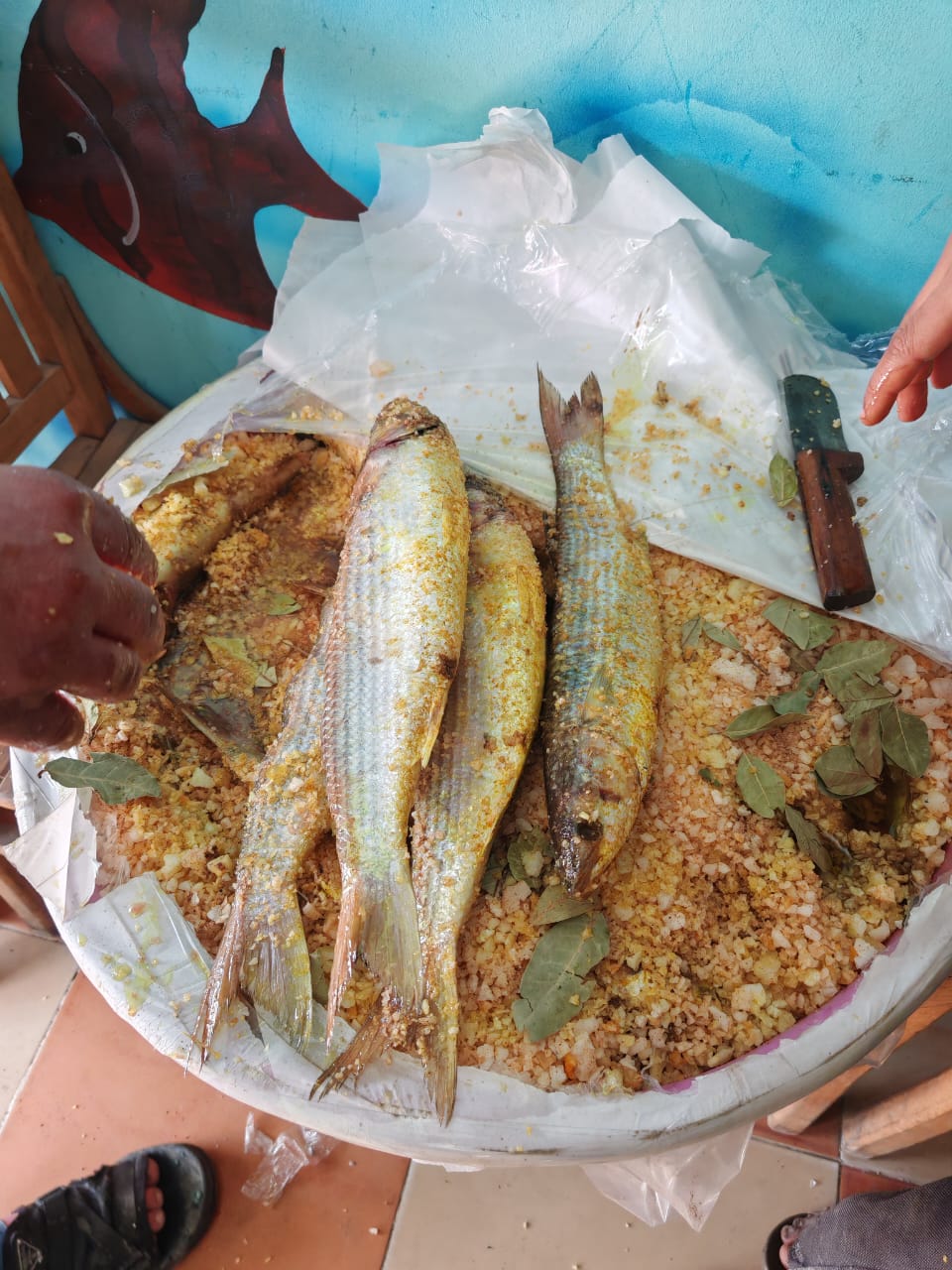 جانب من الحملات، فيتو