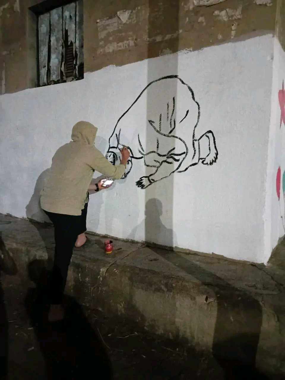 تعليق الأعلام والبالونات والرسم علي الجدران،فيتو1