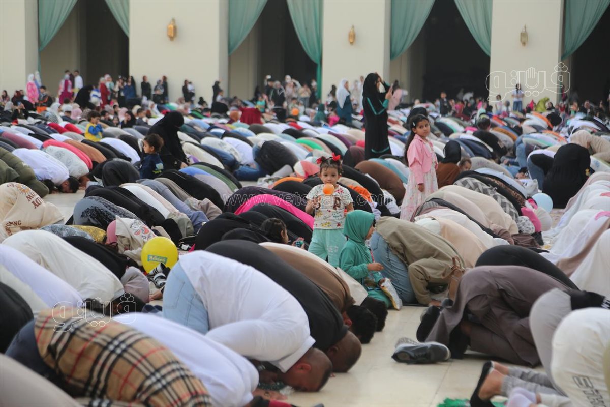 اختلاط النساء بالرجال (3)