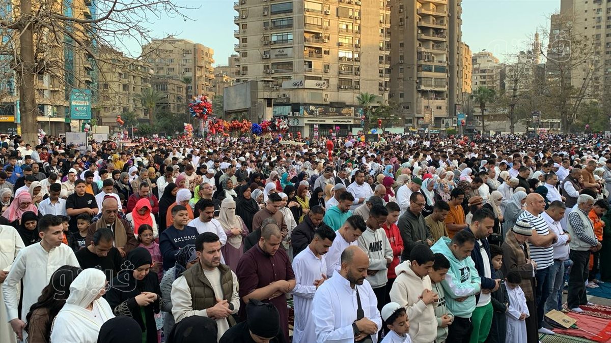 اختلاط النساء بالرجال (6)