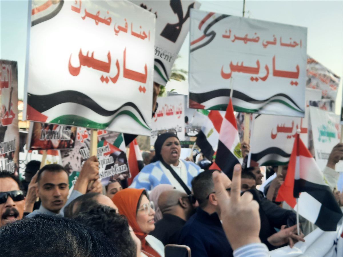 جانب من التظاهرات، فيتو