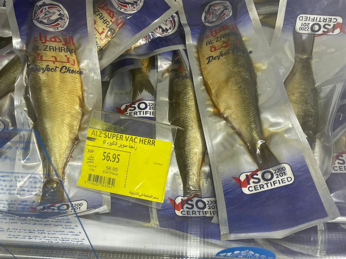 <strong>أسعار الرنجة </strong>