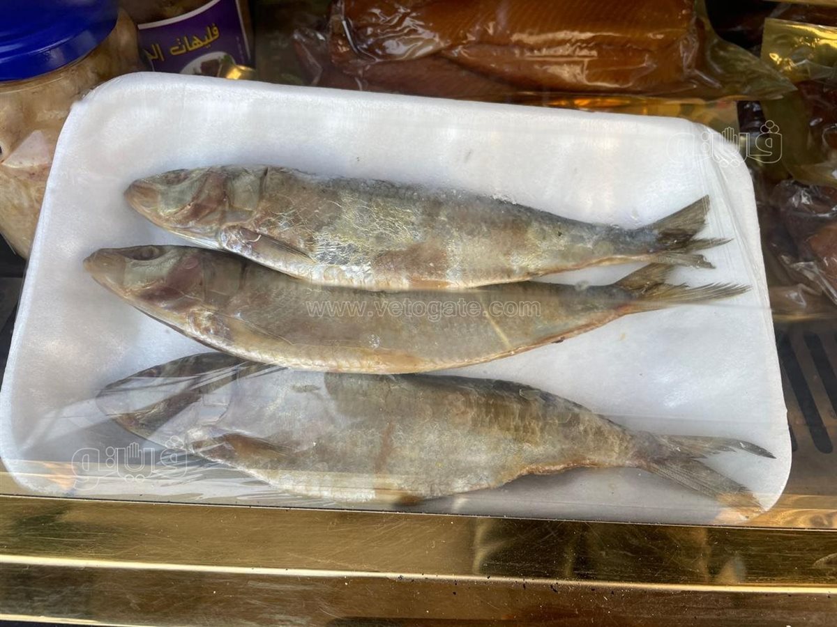 <strong>أسعار الفسيخ</strong>