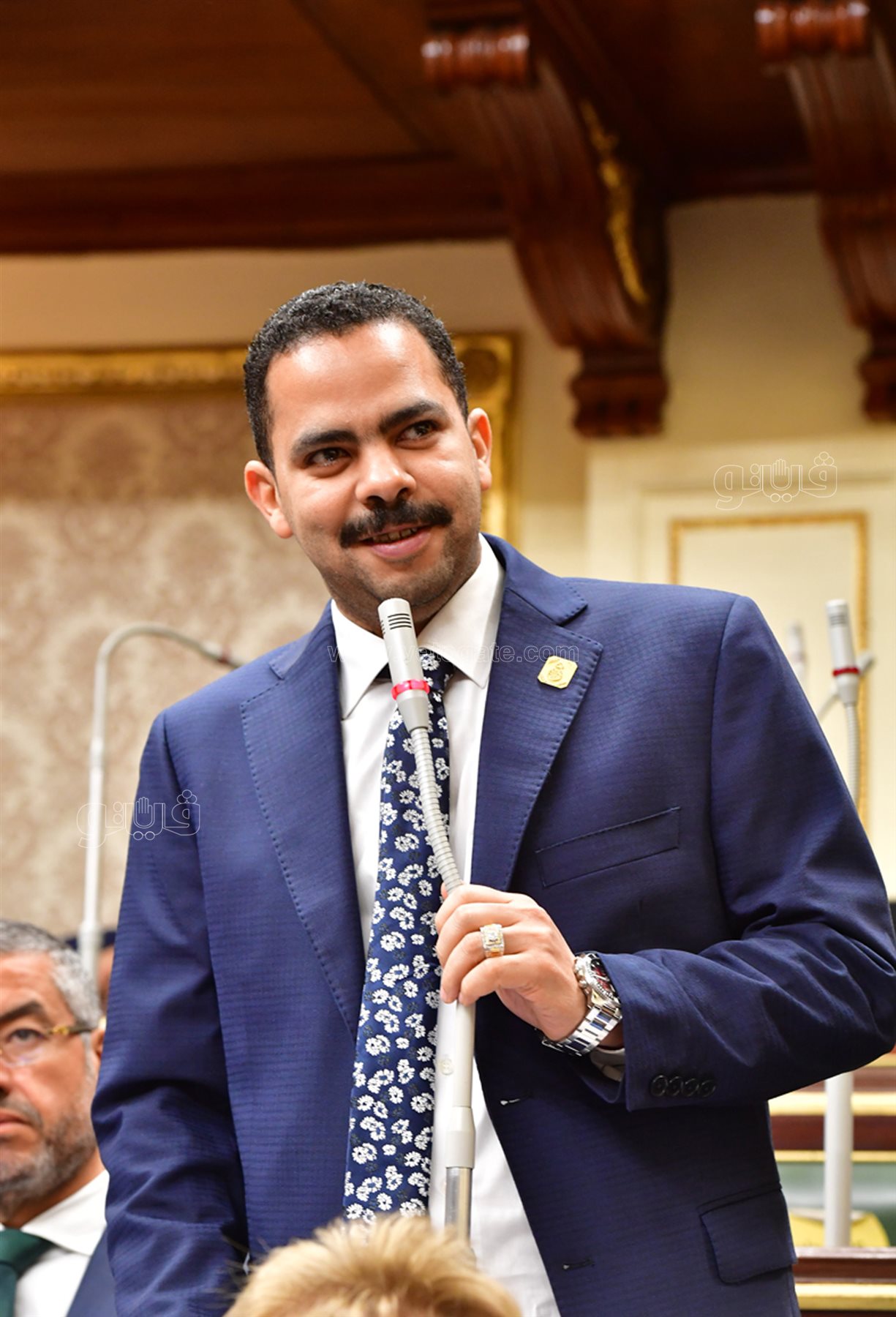 مجلس النواب (1)