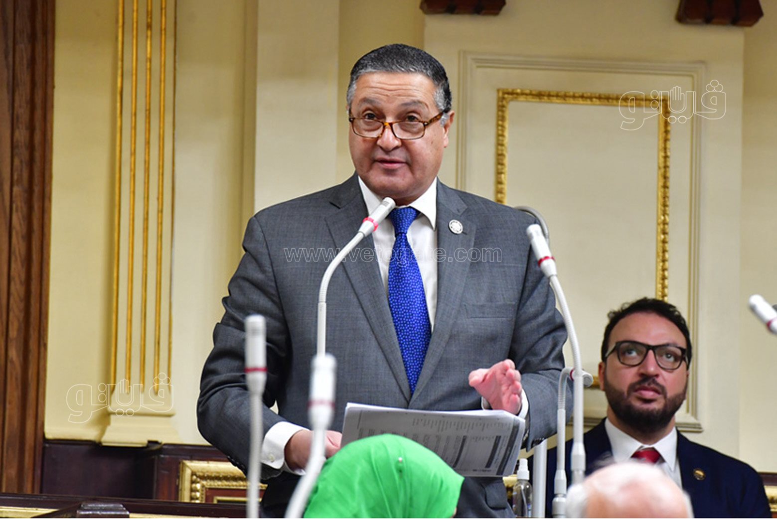 مجلس النواب (12)