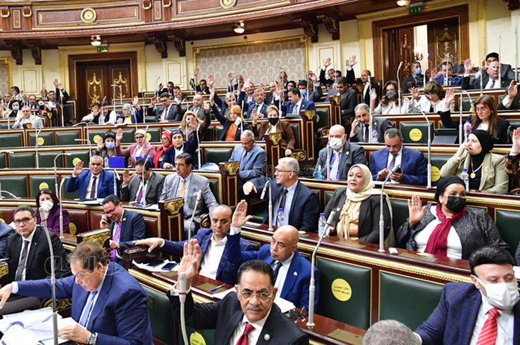 مجلس النواب (7)