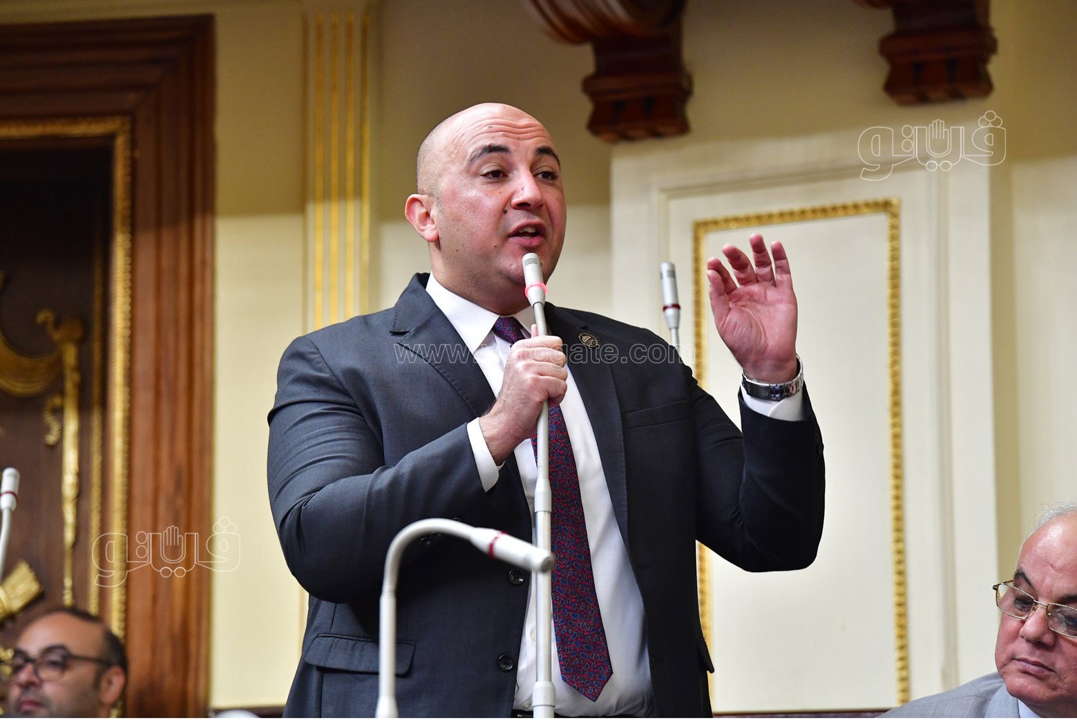 مجلس النواب (15)