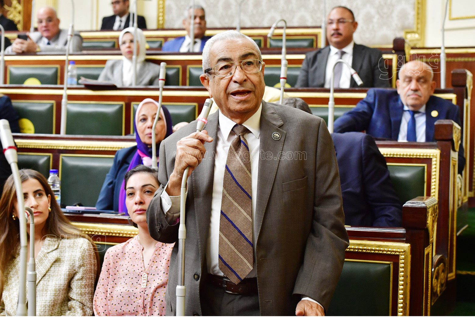 مجلس النواب (16)