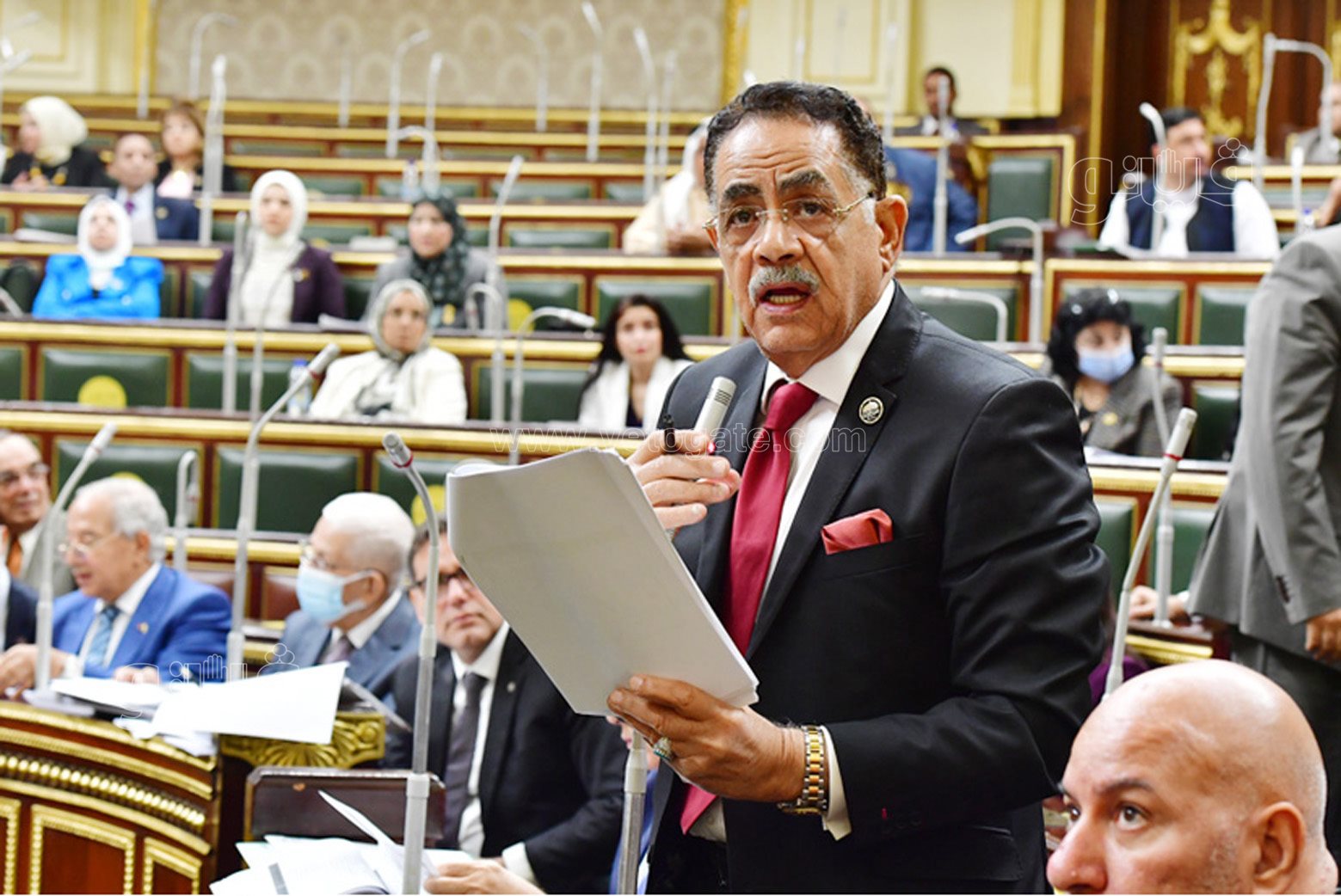 مجلس النواب (17)