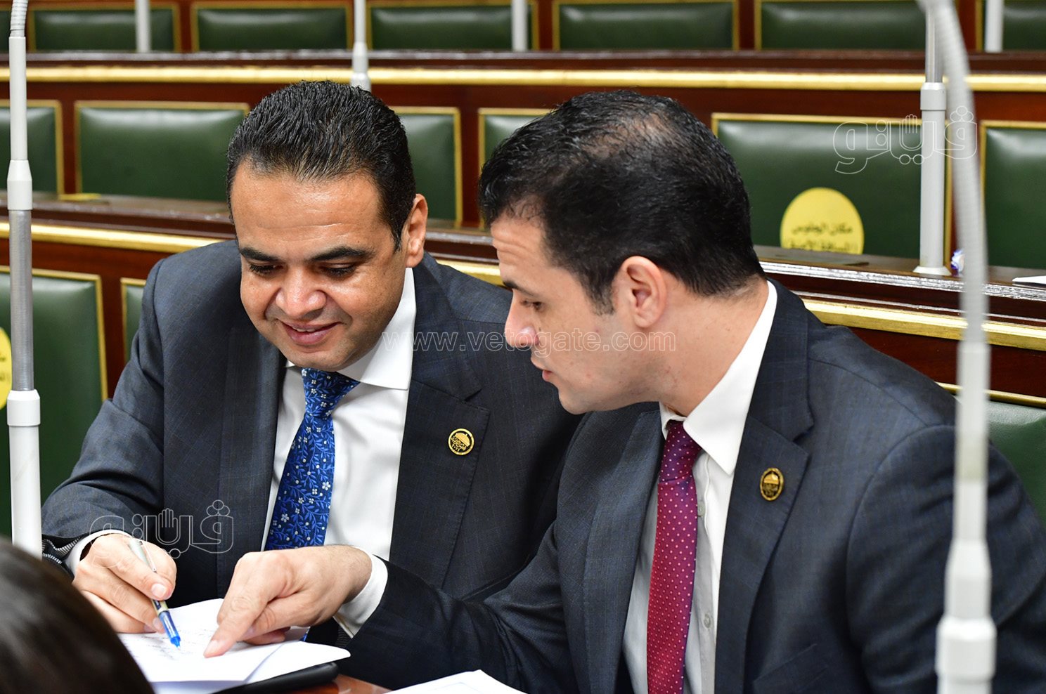 مجلس النواب (28)