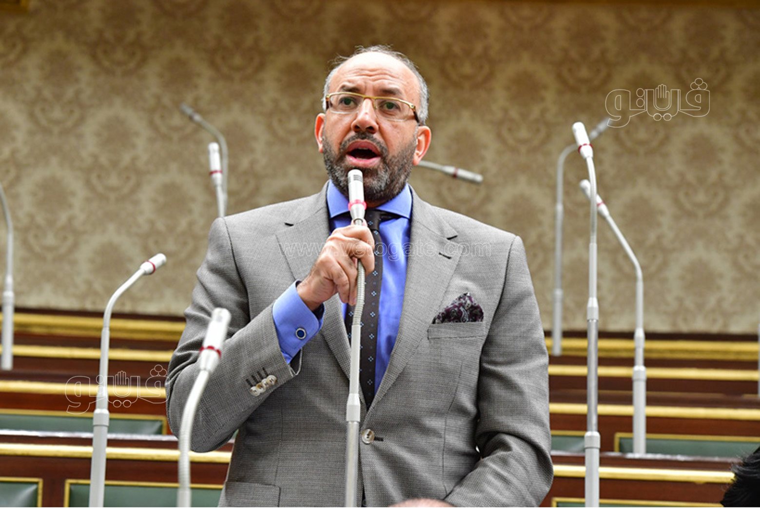 مجلس النواب (31)