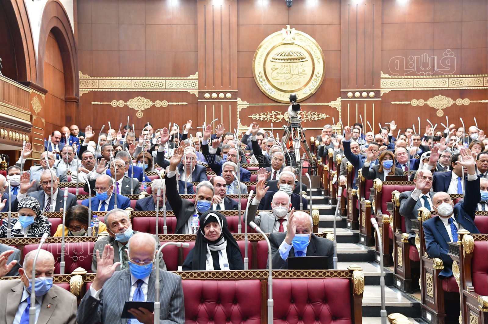 مجلس الشيوخ (1)