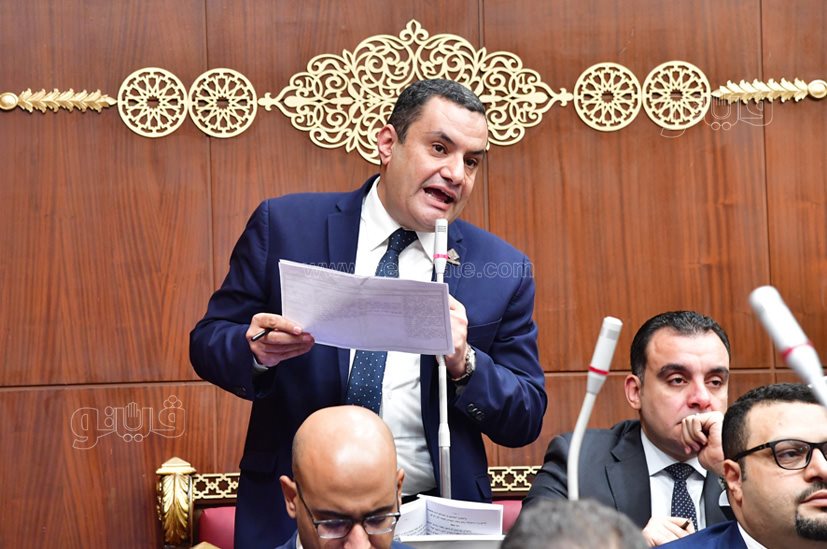 مجلس الشيوخ (2)