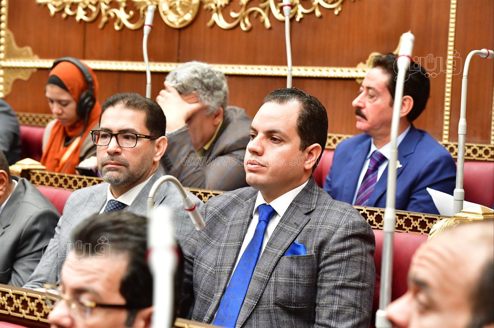 مجلس الشيوخ (8)