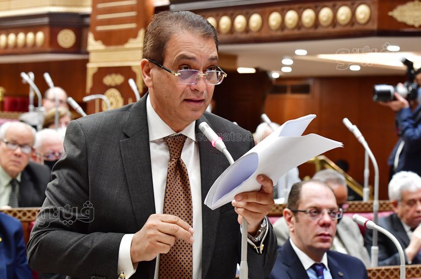 مجلس الشيوخ (9)