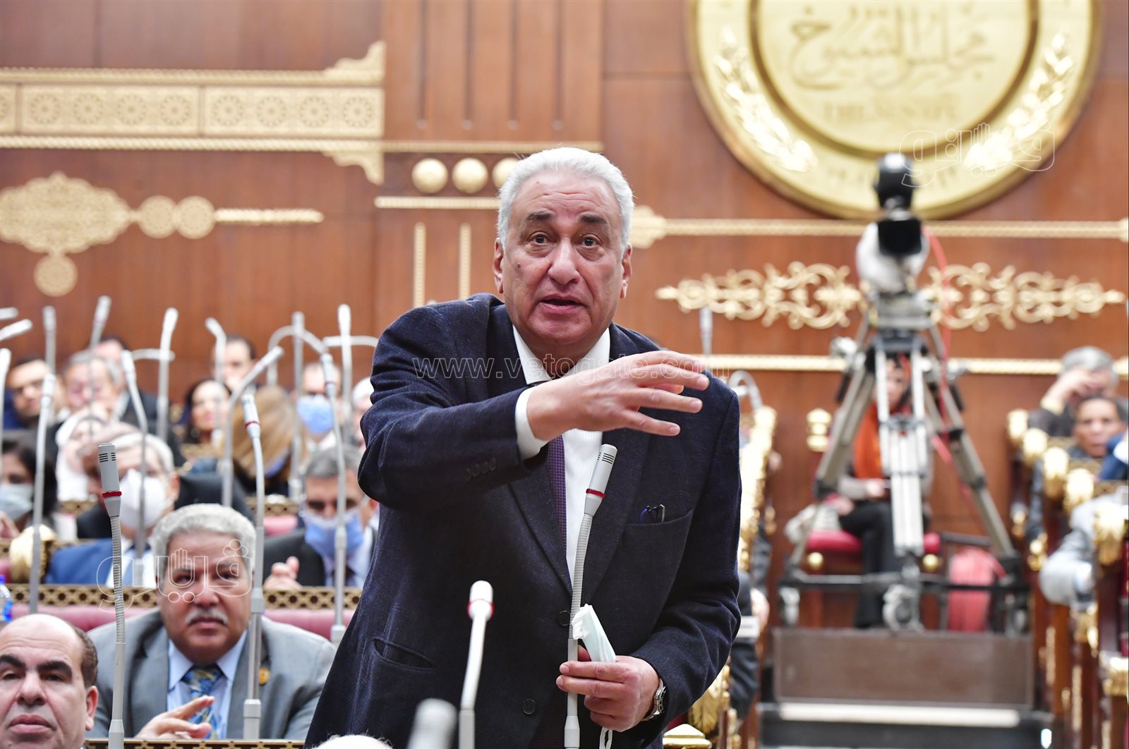 مجلس الشيوخ (11)