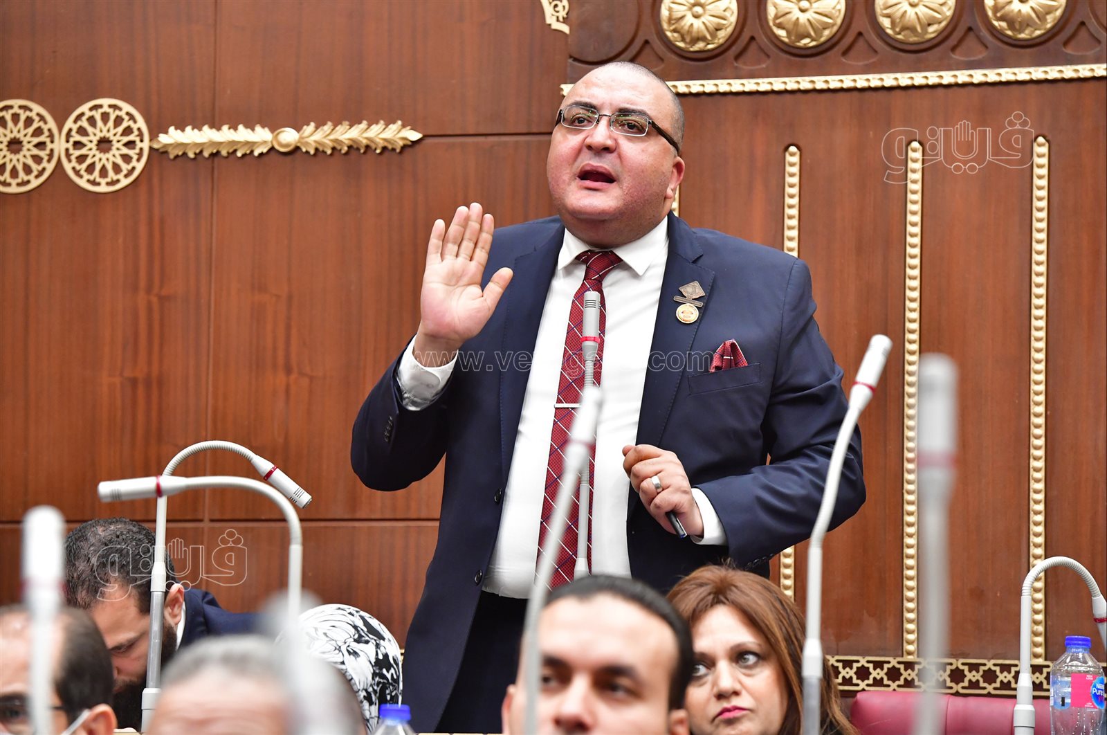 مجلس الشيوخ (12)