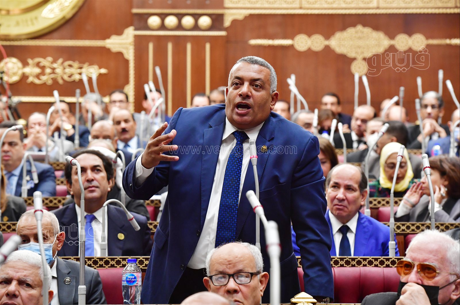 مجلس الشيوخ (13)