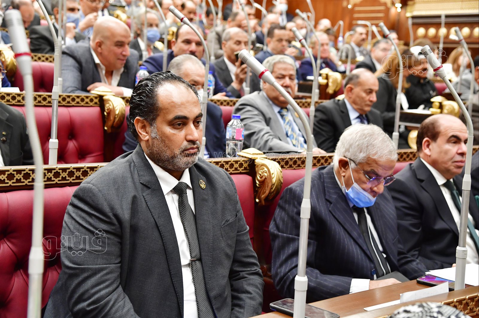 مجلس الشيوخ (26)