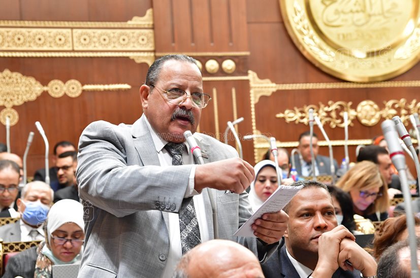 مجلس الشيوخ (31)