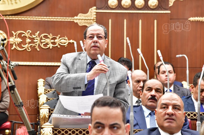 مجلس الشيوخ (6)