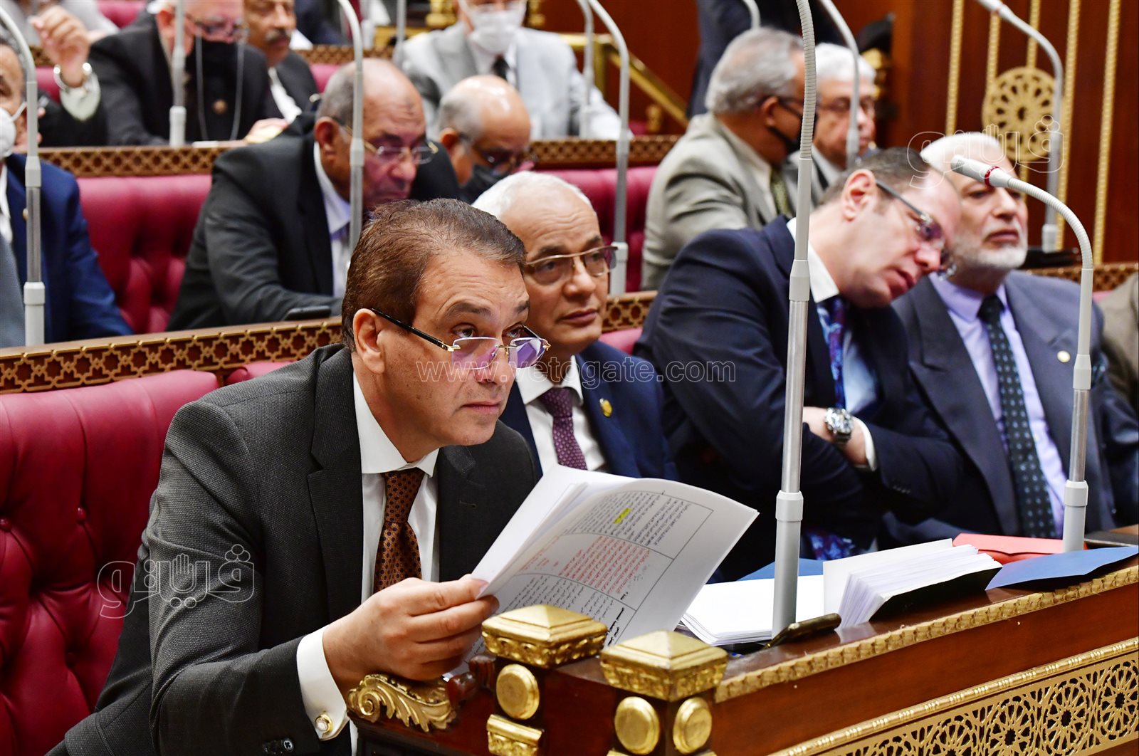 مجلس الشيوخ (15)