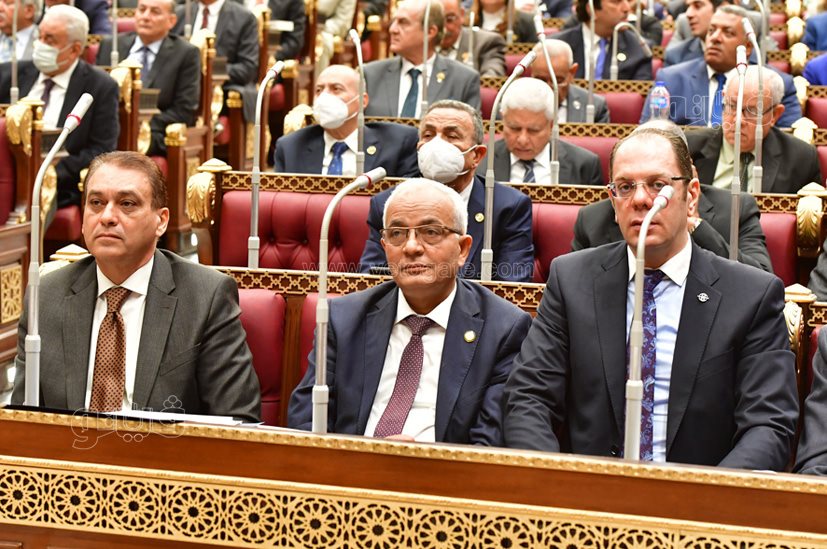 مجلس الشيوخ (29)