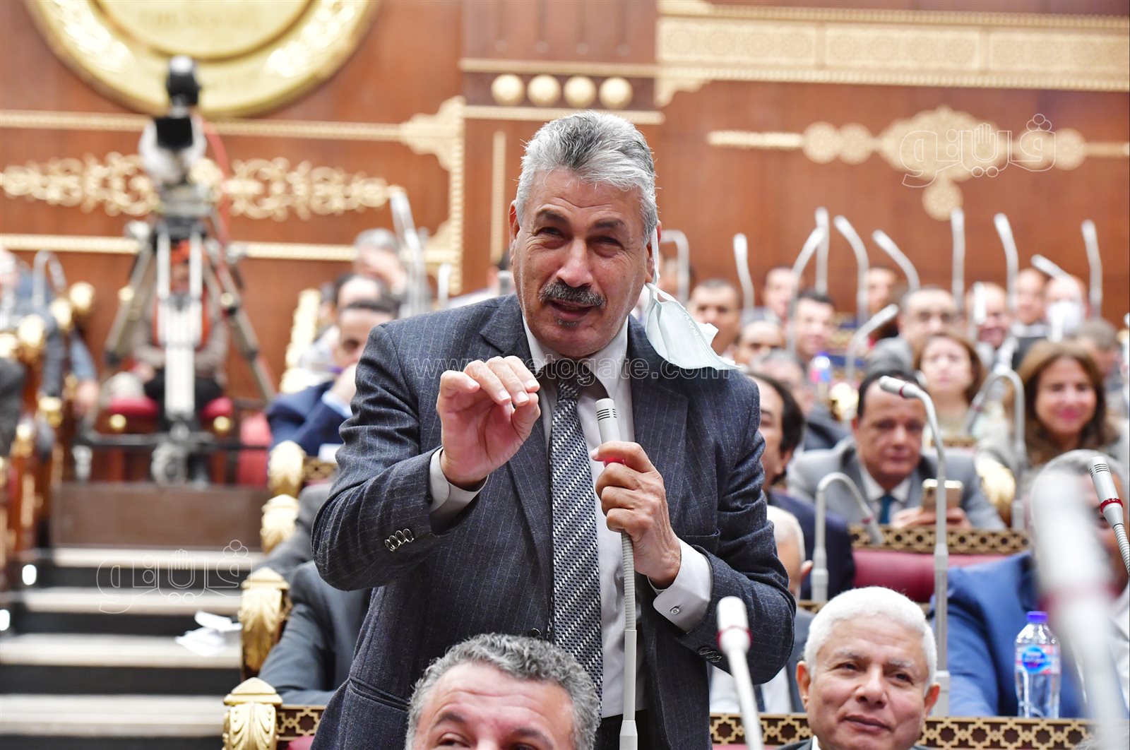 مجلس الشيوخ (10)