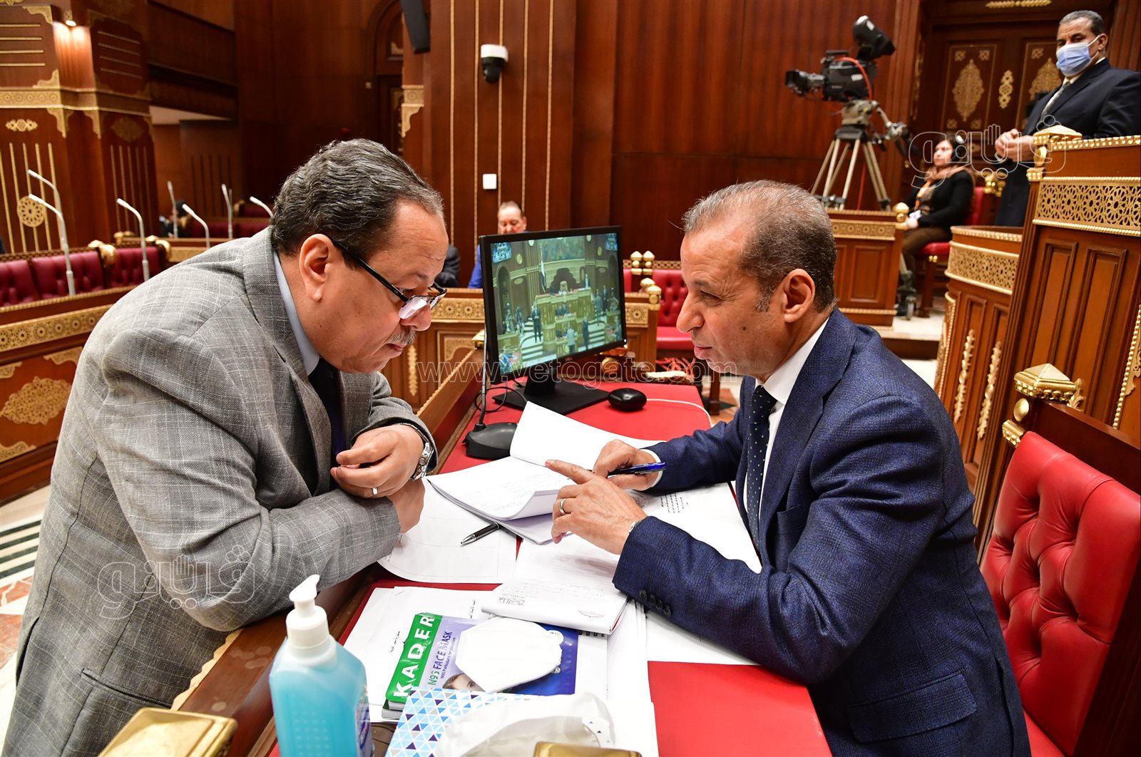 مجلس الشيوخ (20)