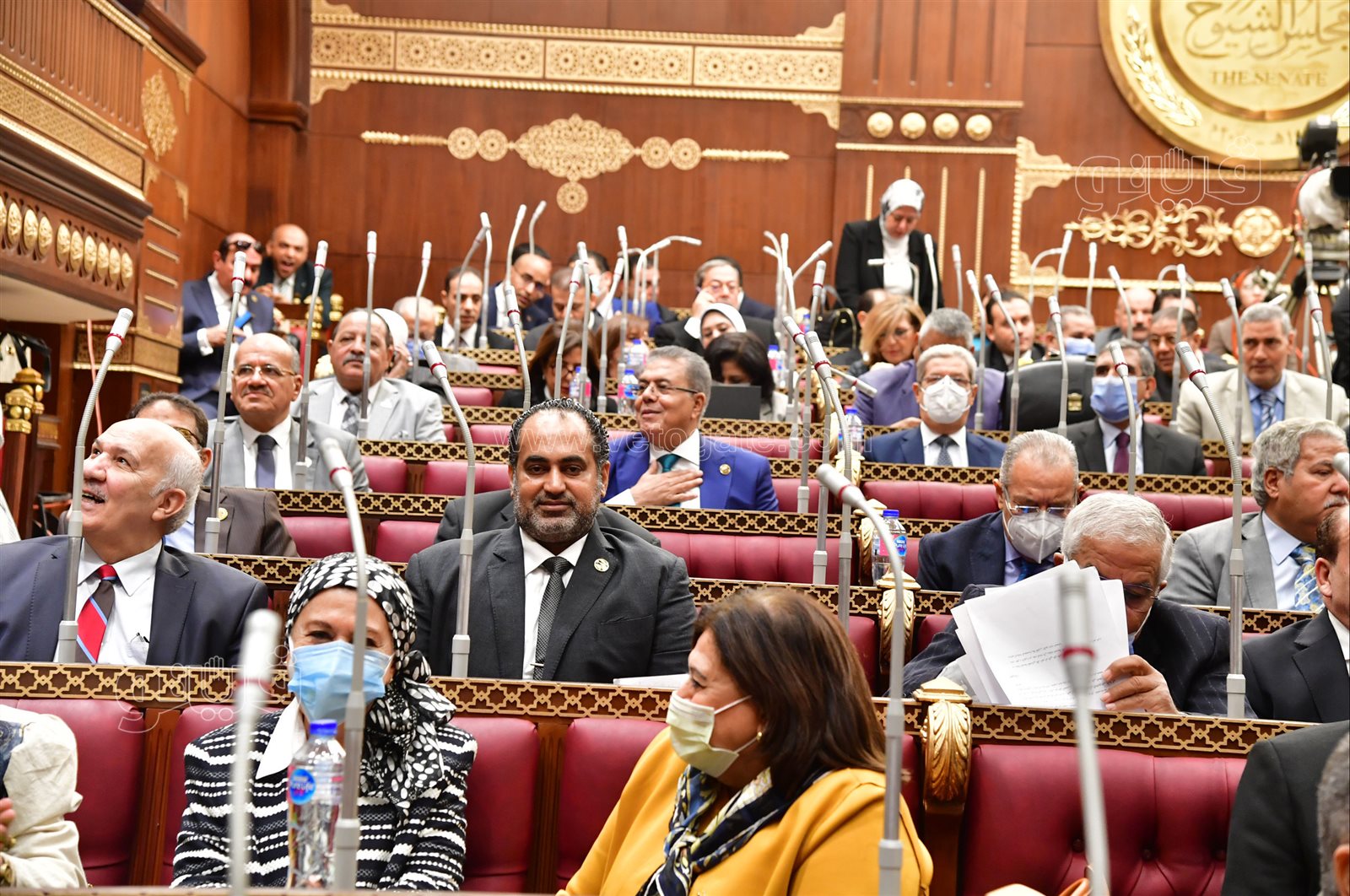 مجلس الشيوخ (22)