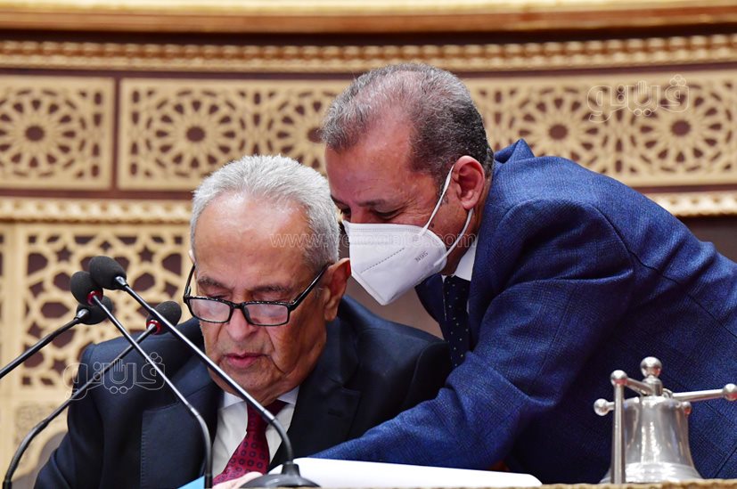 مجلس الشيوخ (14)