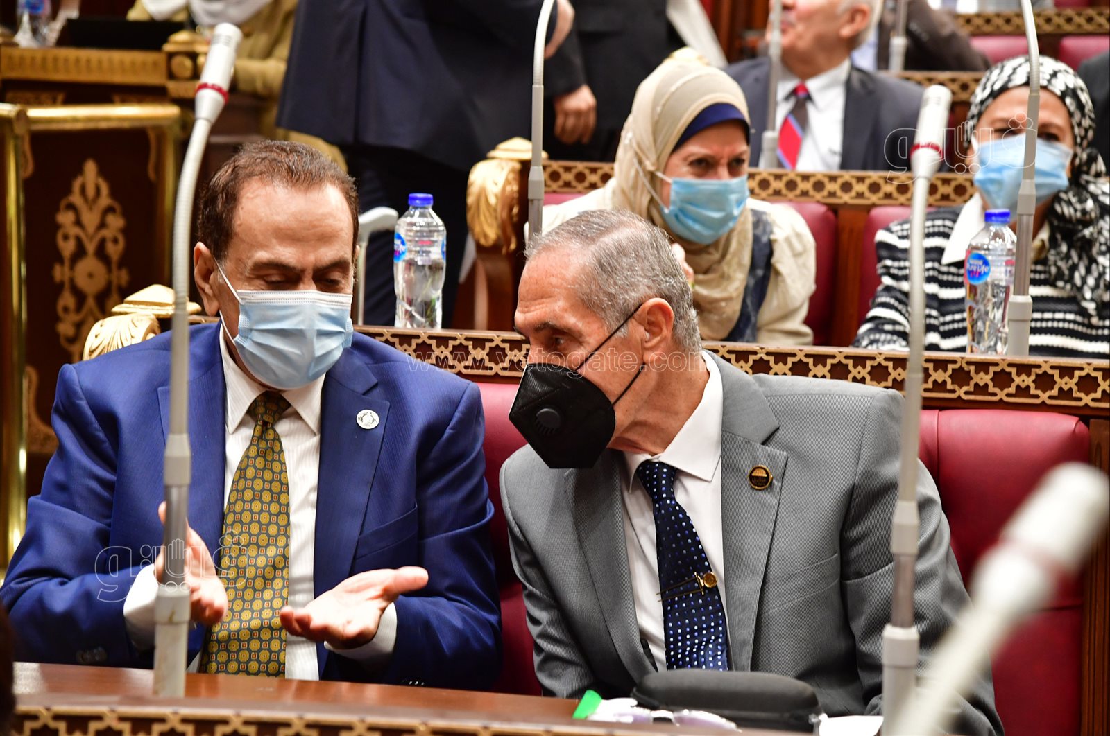 مجلس الشيوخ (21)