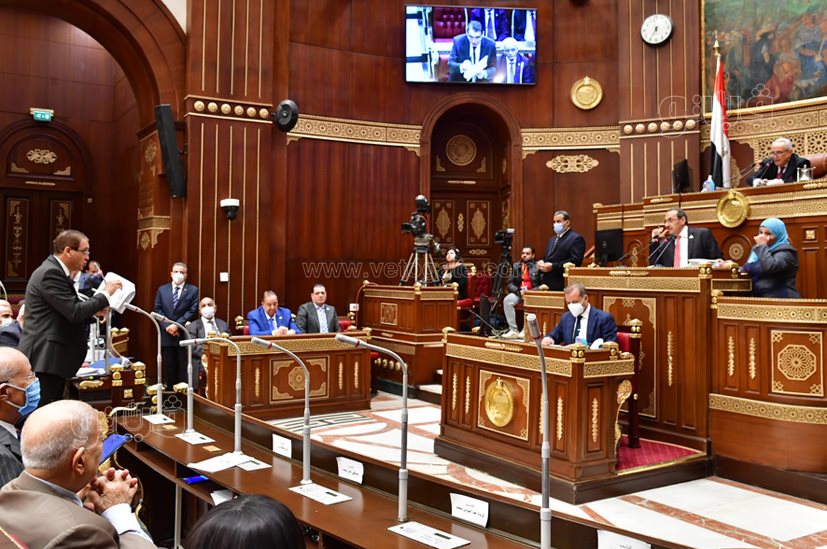 مجلس الشيوخ (4)