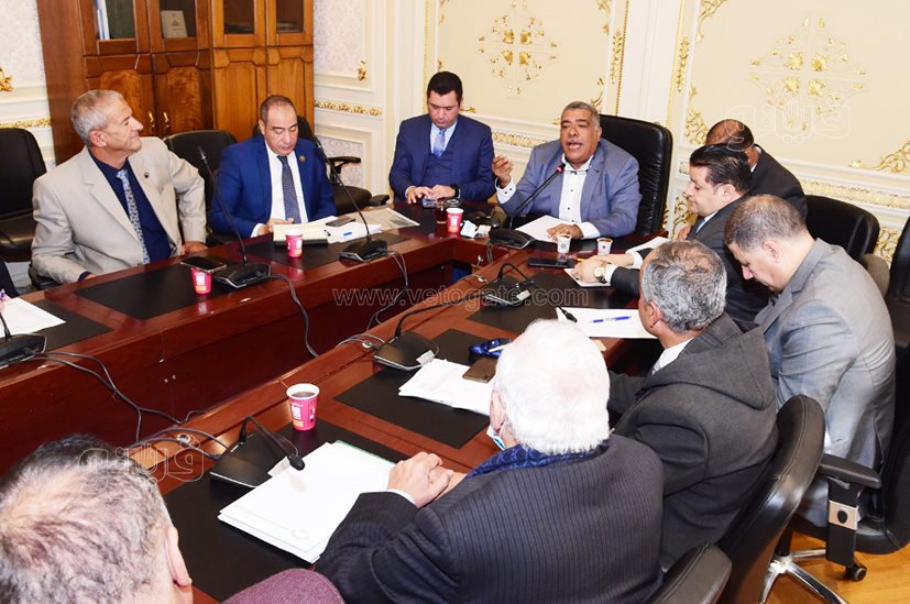 أجتماع لجنة الصناعة بمجلس النواب (3)