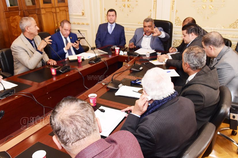 أجتماع لجنة الصناعة بمجلس النواب (4)