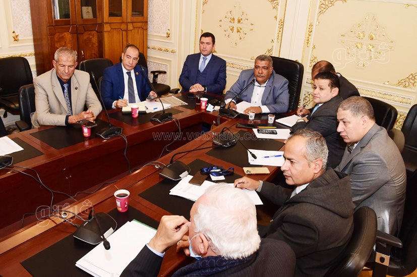 أجتماع لجنة الصناعة بمجلس النواب (8)