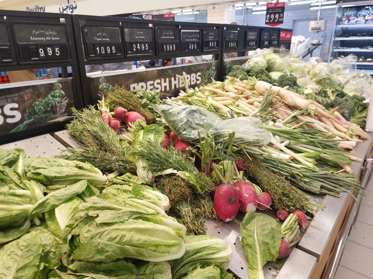 سعر كيلو ورق العنب