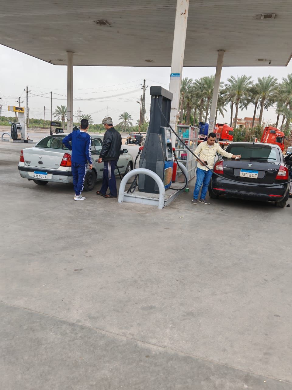 جانب من الحملات،فيتو