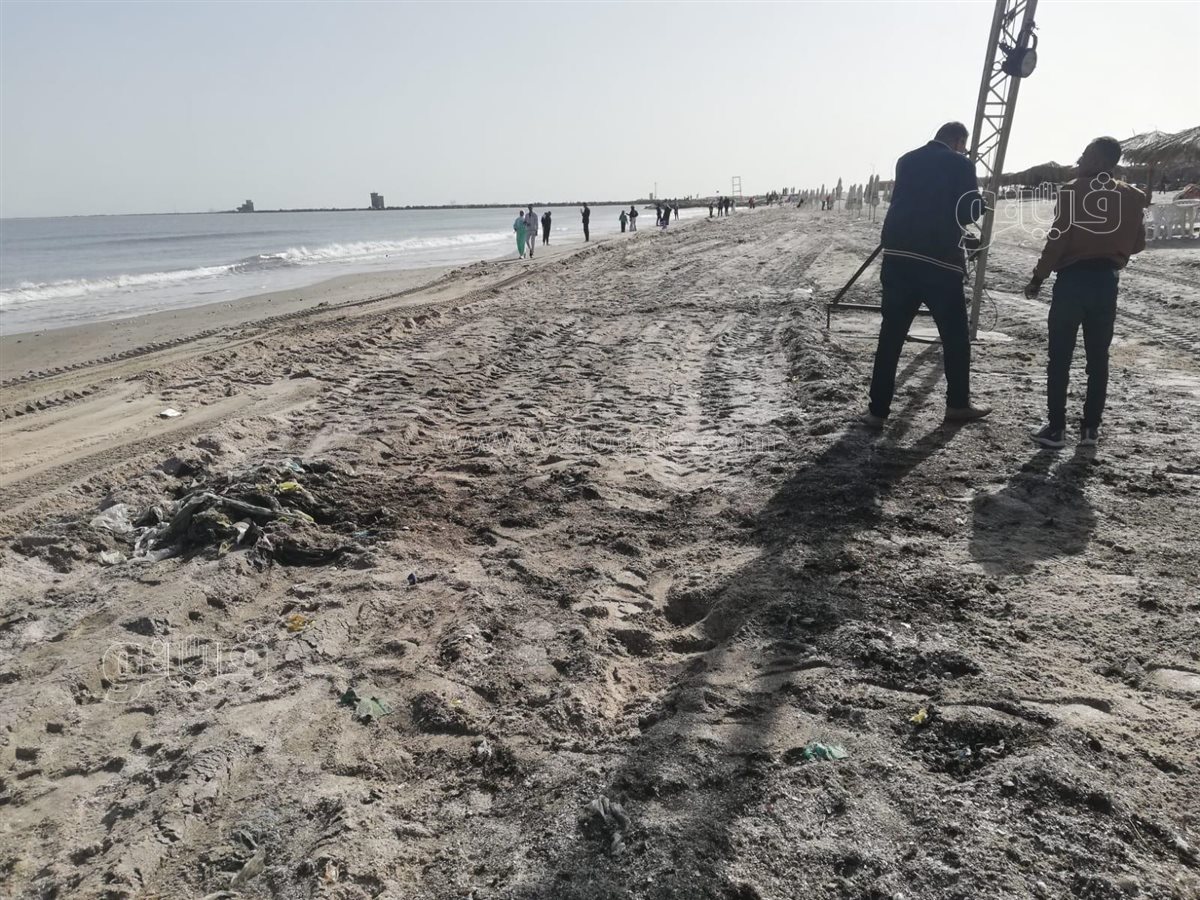 حملات مكثفه لتنظيف شواطئ بورسعيد، فيتو