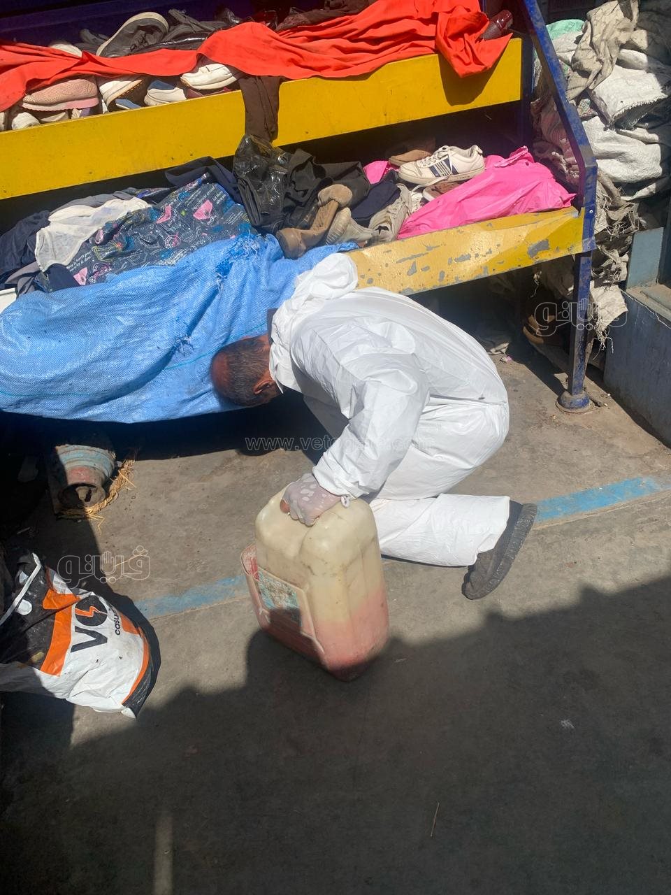 حملات مكثفه لمكافحه القوارض بأسواق بورسعيد،فيتو