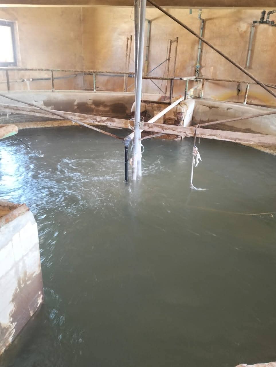 جانب من الجولات،فيتو