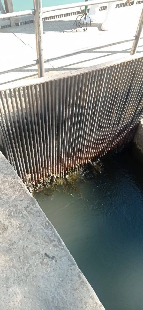 جانب من الجولات،فيتو