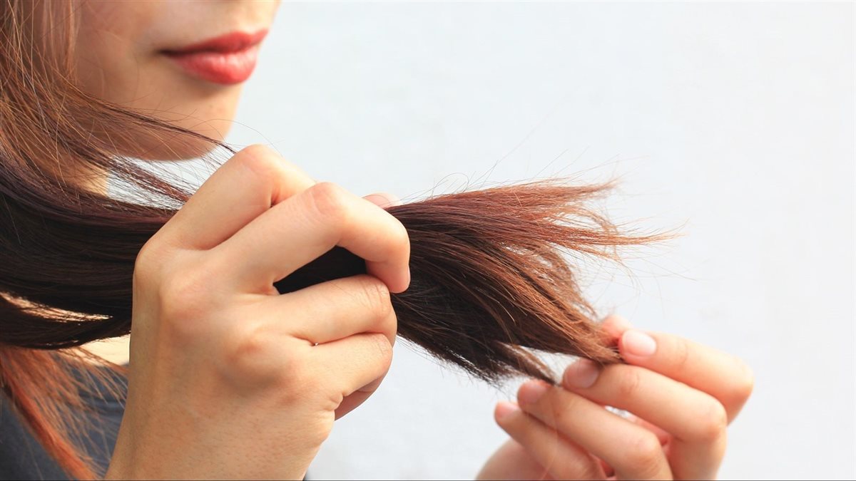 الشعر المتقصف